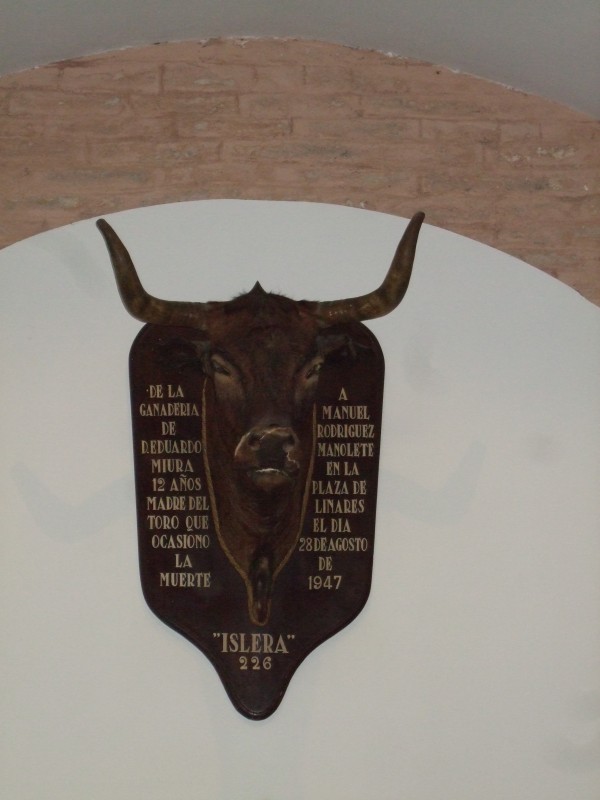 Anadalusien 2009 - 0647 